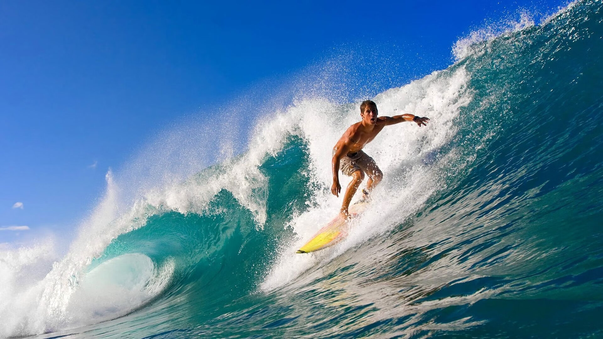 卫冕冠军的欧冠之路:他们还能保持冠军光环吗?,欧冠卫冕有多难