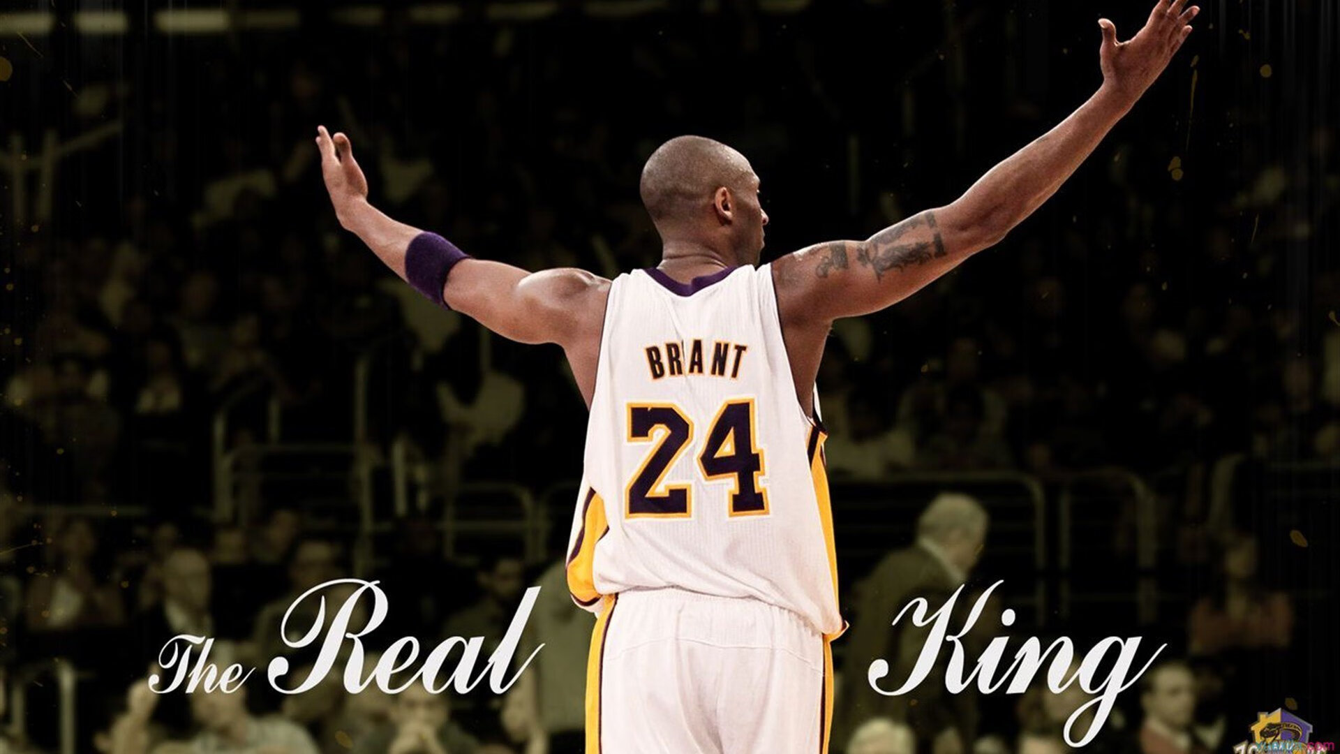 开云app下载-女性选手崛起：为电竞注入更多多样性与包容性，lol女电竞选手